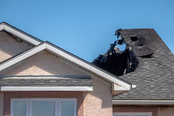 Top rated local Odor Removal specialists in Marlton, MD